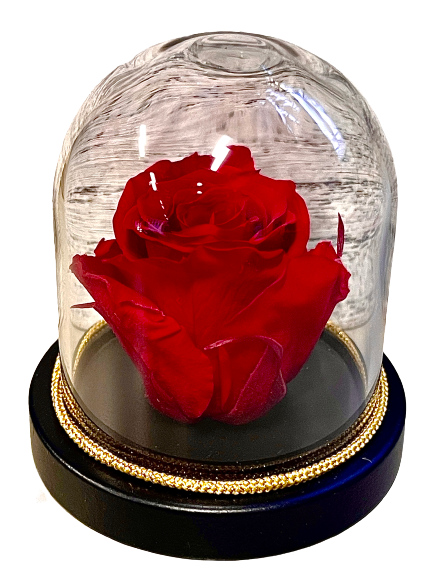 Eternity Rose